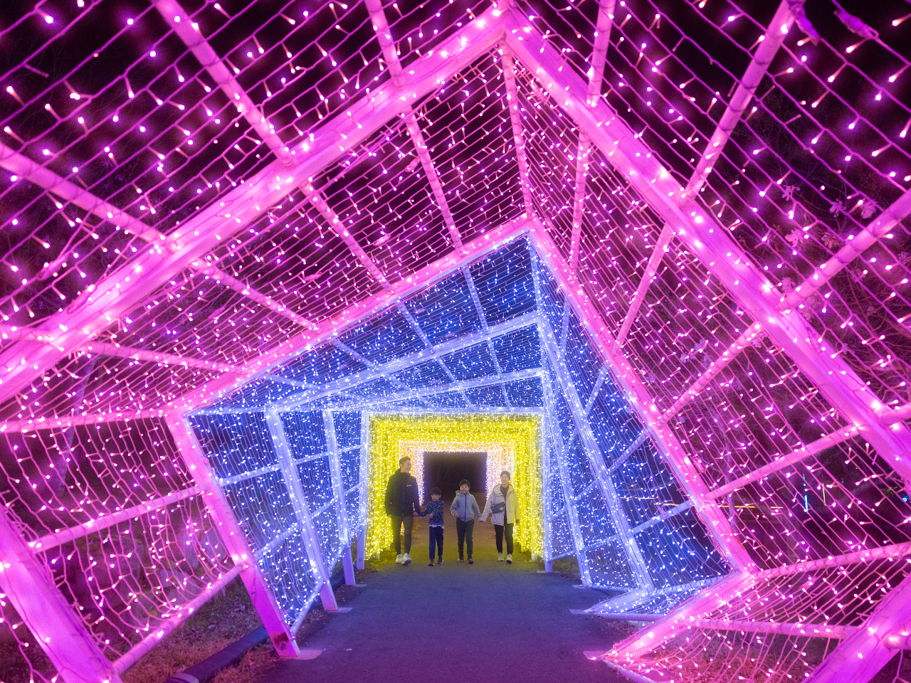 PԂ̎ʐ^fX|bg@XpCglِ͈EɈ܂邩̂悤ȓ