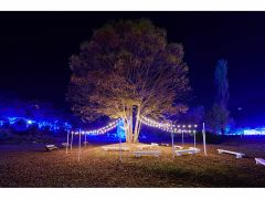 ウェルカムエリア。フォトスポットとしても人気のエリアです。