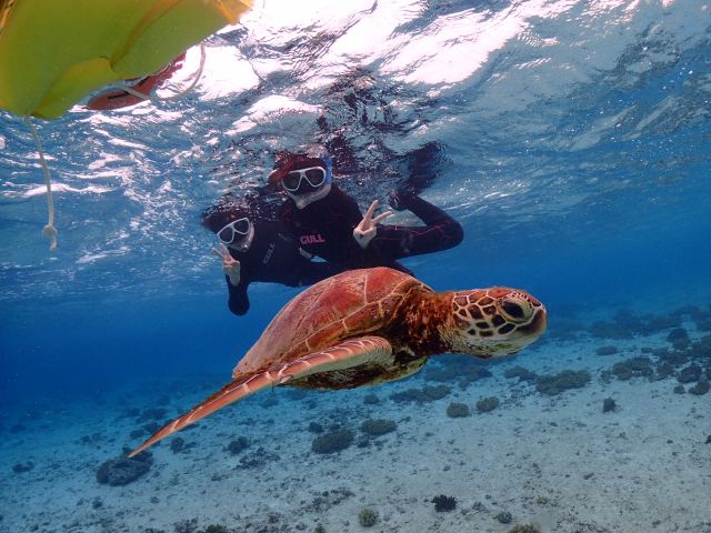 海ガメにも出会えるかも(^^)