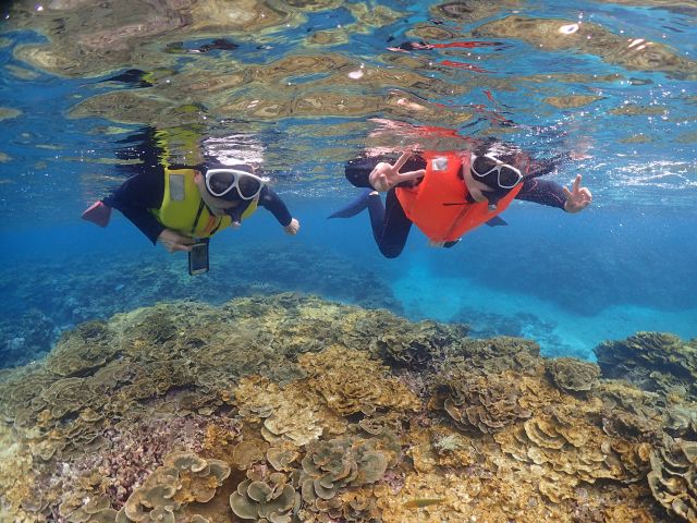 サンゴ礁の上をゆっくりスノーケリング