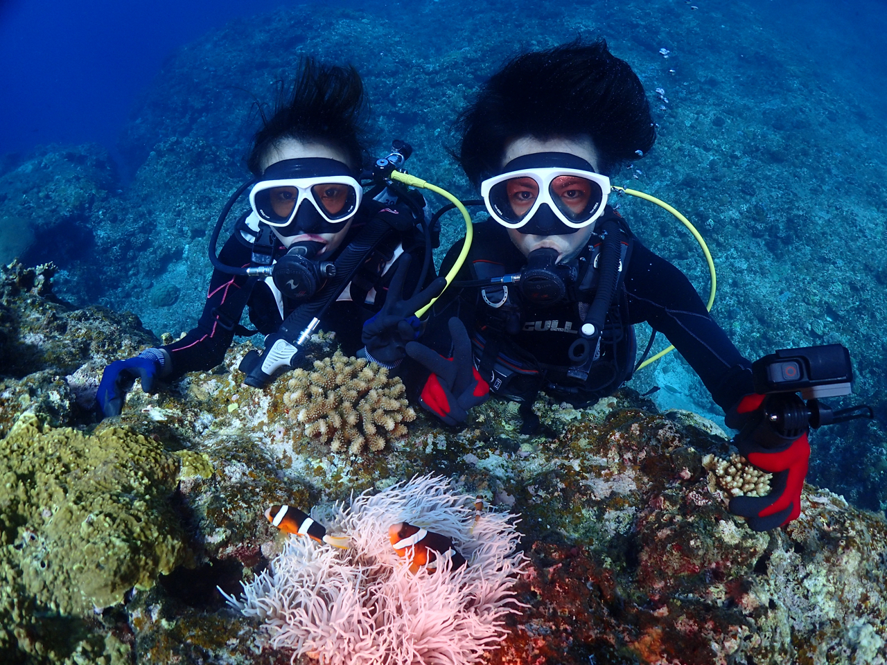 ̌_CrOIN}m~ƈꏏ(^^)