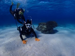 ビーチ体験ダイビング