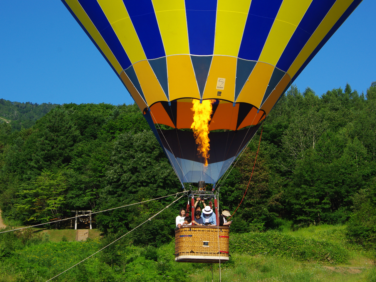 �������Ə㏸���Ă����܂��B