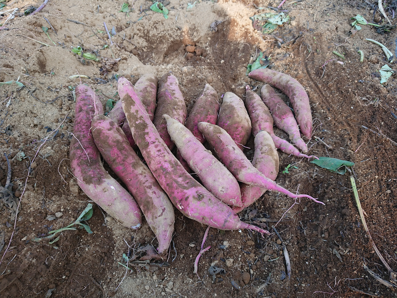 ご家族、お友達同士、グループ皆さんでお楽しみください♪