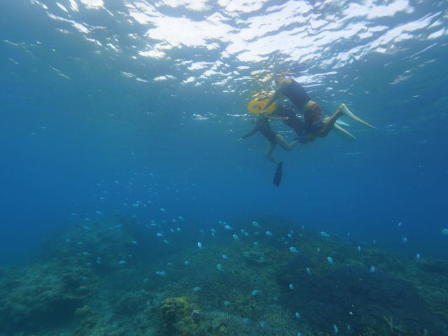泳ぐのが心配な方は、フロート(大きな掴まれる浮き輪)もあります!