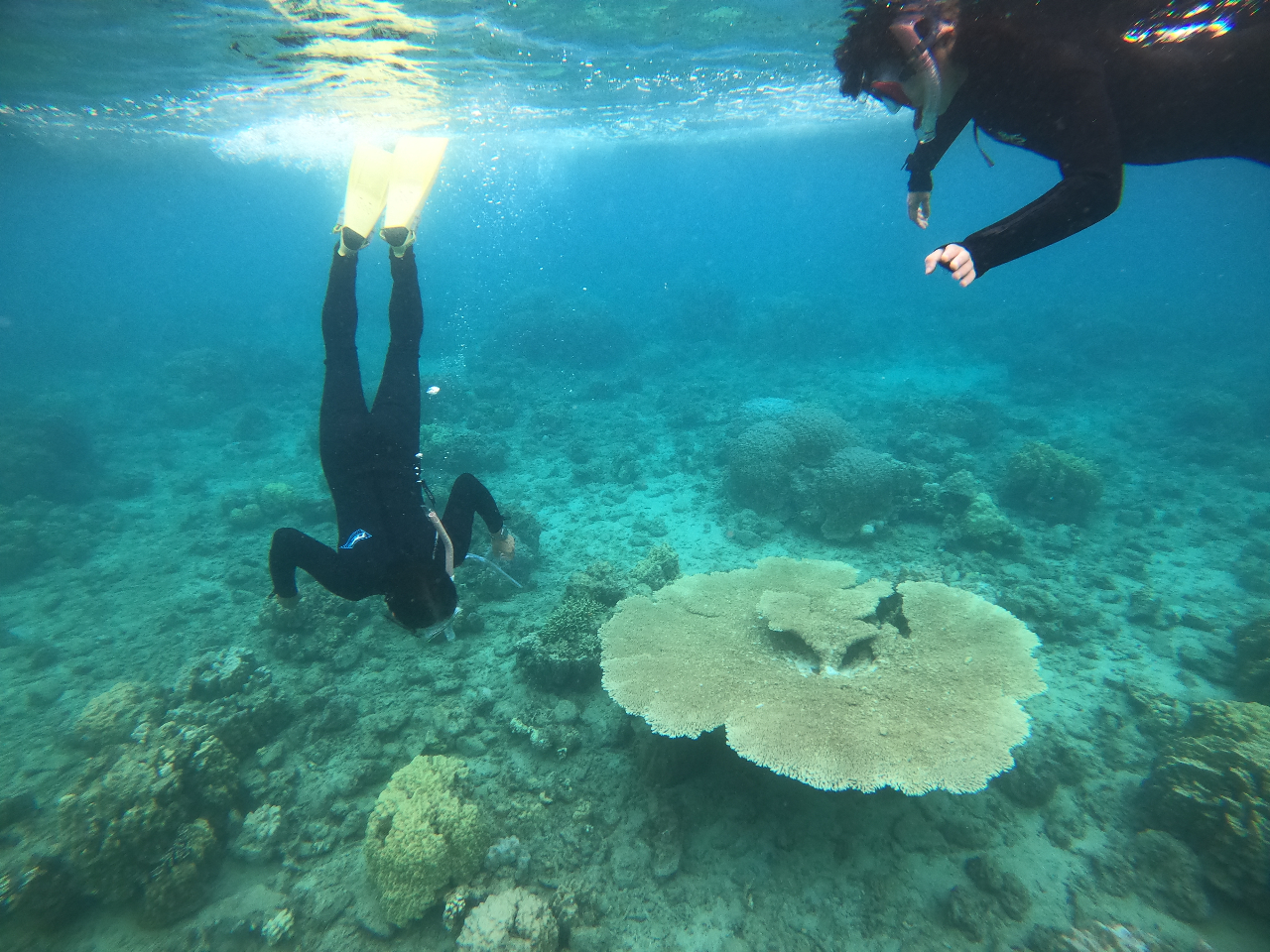 ڂ̑Õr[`łX͂ςI傫ȎX܂I