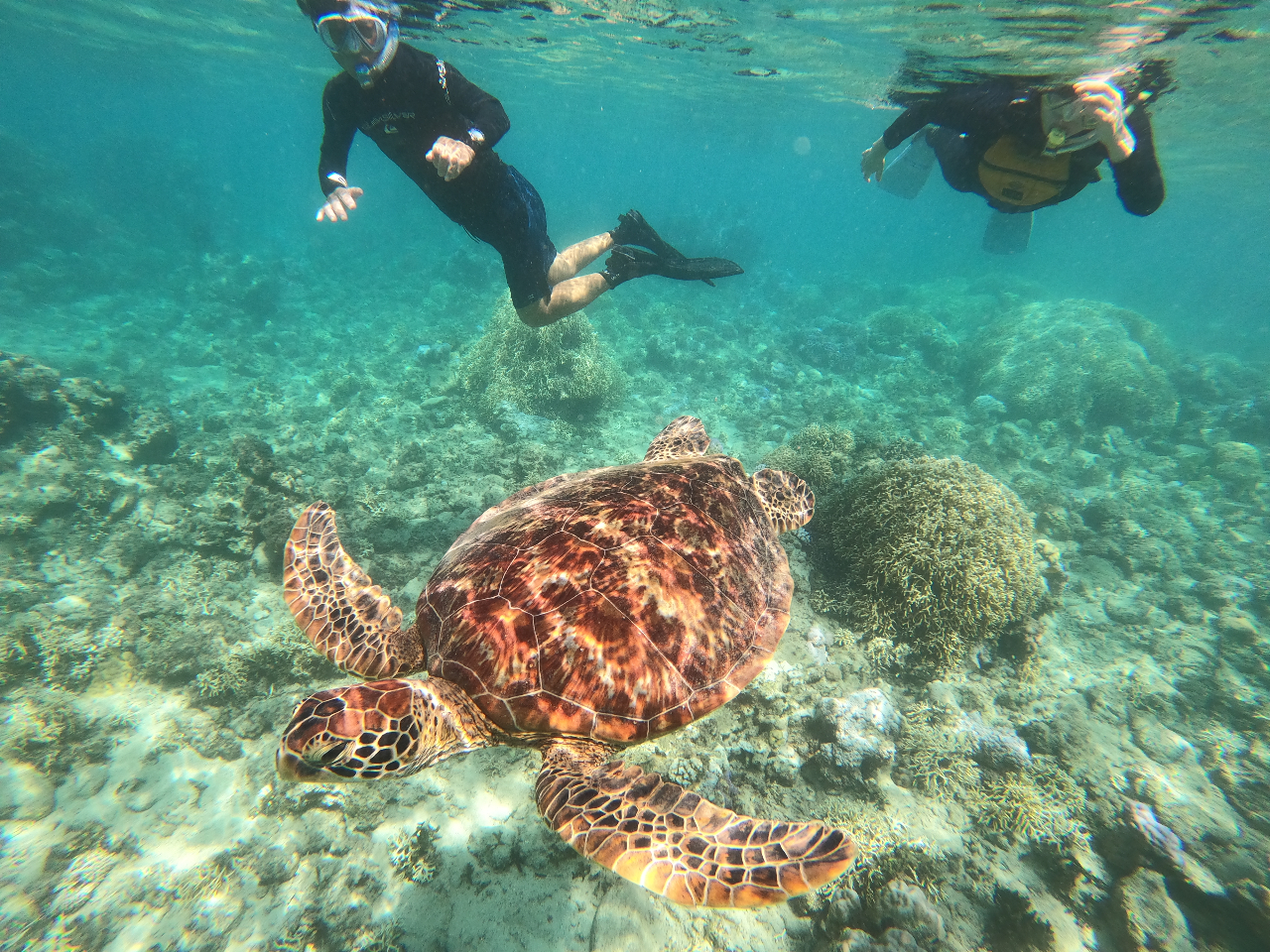 r[`łTɉ邱Ƃ܂^_^