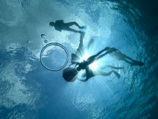 太陽の光をバックにいい感じです!!