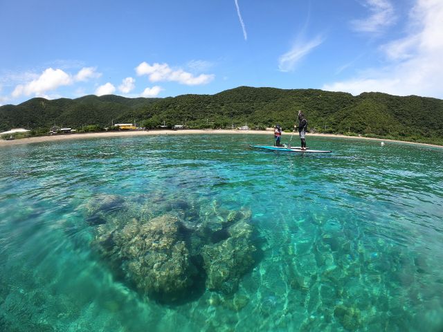 水中にあるサンゴもバッチリ見れます。
