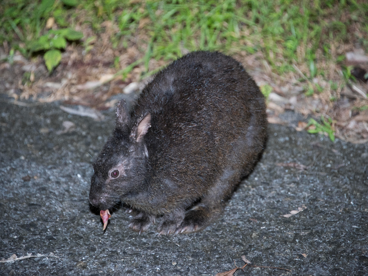 2名様から開催。小さいお子様がいるファミリーもご参加可能です。
