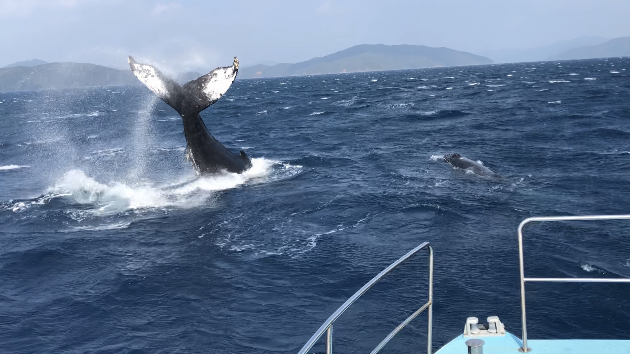 e[XbvIh𐅖ʂɒ@ANVB͖_łIł^_^