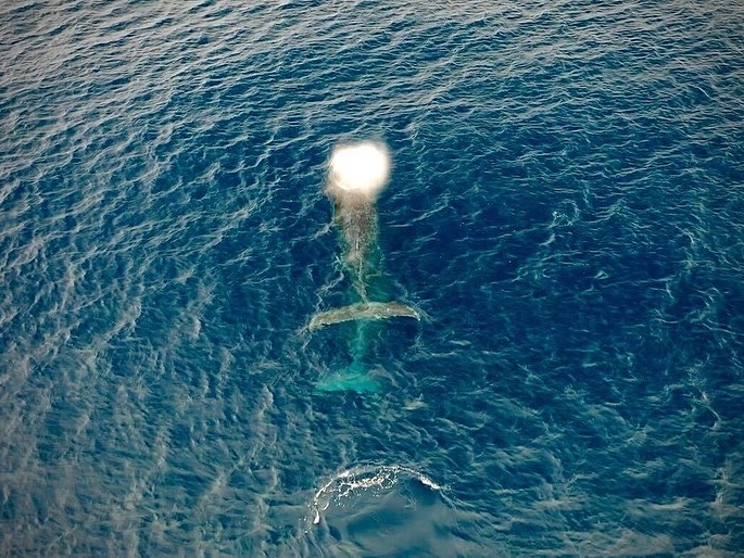 Cǂ΃h[̎ʐ^v[gł邱Ƃ܂IiAłAAAj