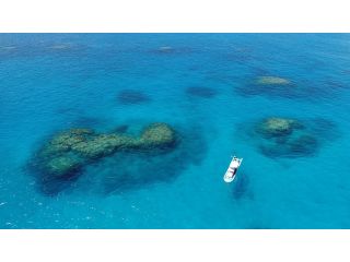 キレイな海でシュノーケル!!!