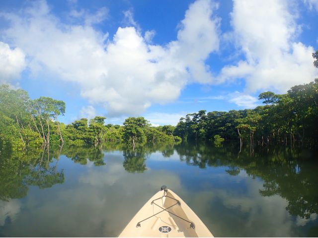 景色を写し込む鏡のような水面