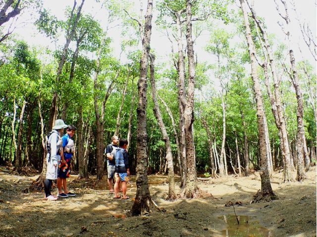干潟で生きもの探し