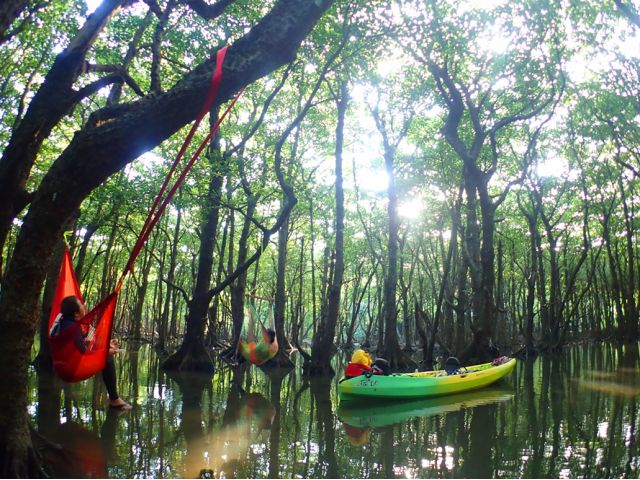 休憩は森のなかに張ったハンモックの中で