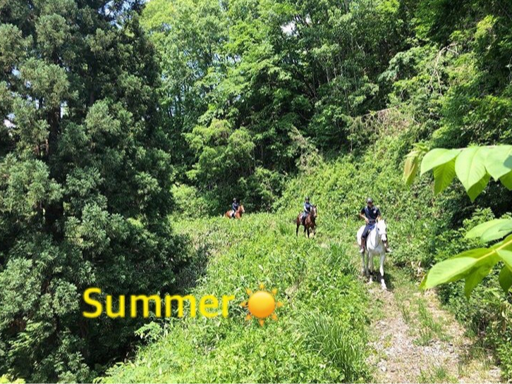 夏はどんなに暑くても山は意外と涼しいです!