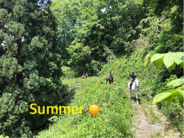 夏はどんなに暑くても山は意外と涼しいです!