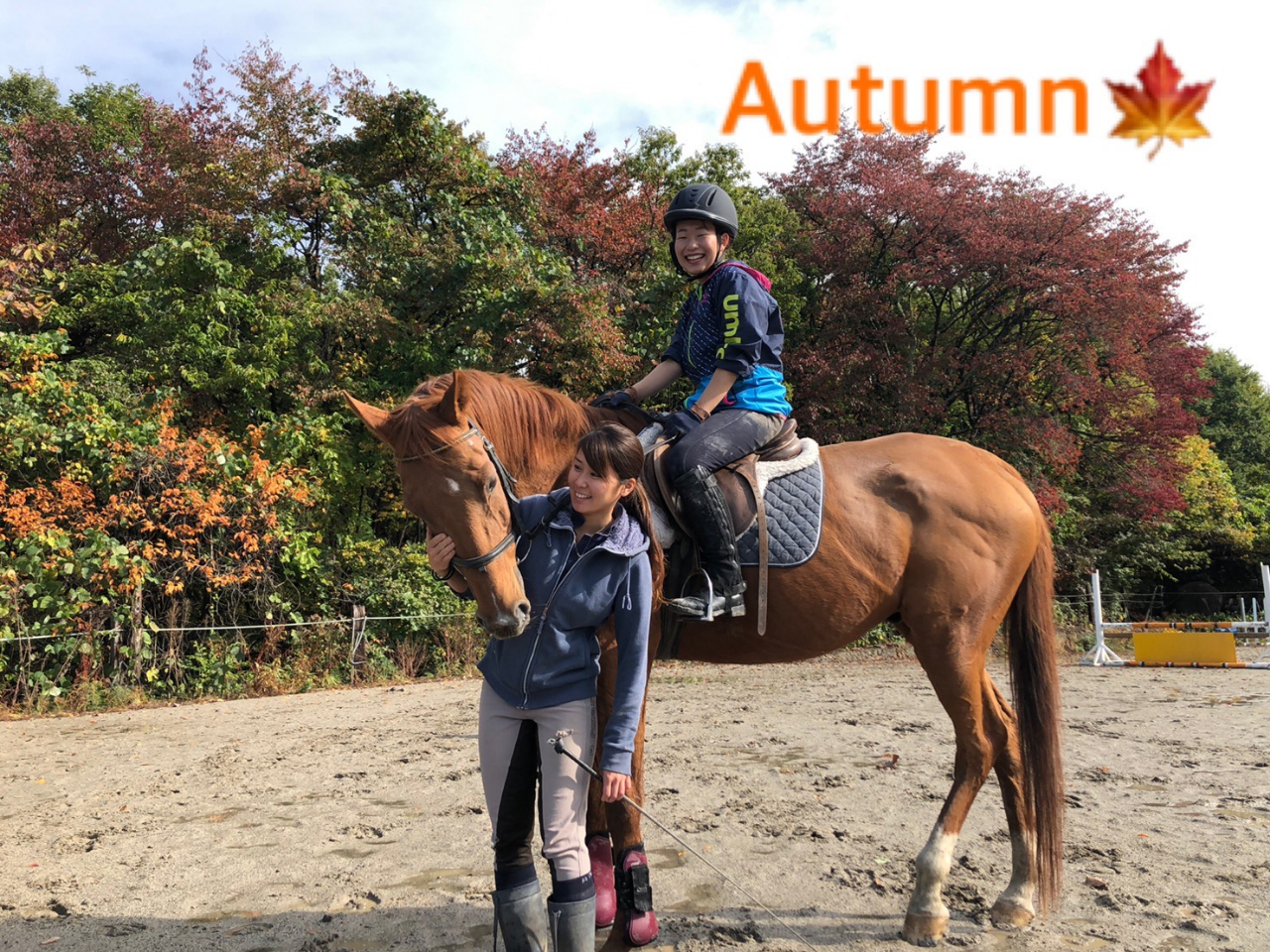 【当日予約可能プラン】【外乗体験♪30分コース】 山の秋の景色を楽しみながら馬と...