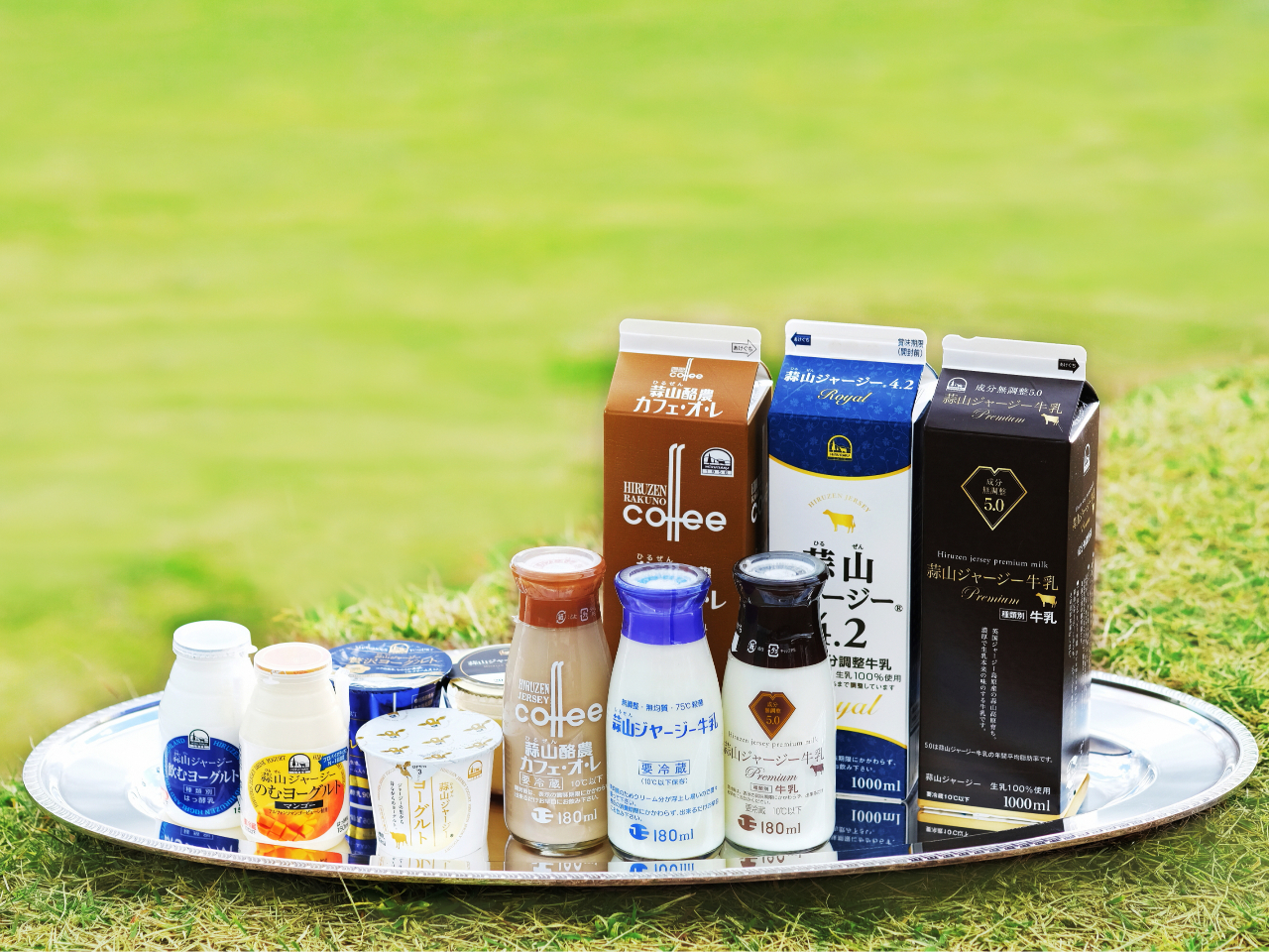 fR__Ƌg^cfRW[W[̏iBfR̎RƃW[W[񂾔⃈[OgȂǂ̓iЂܖI