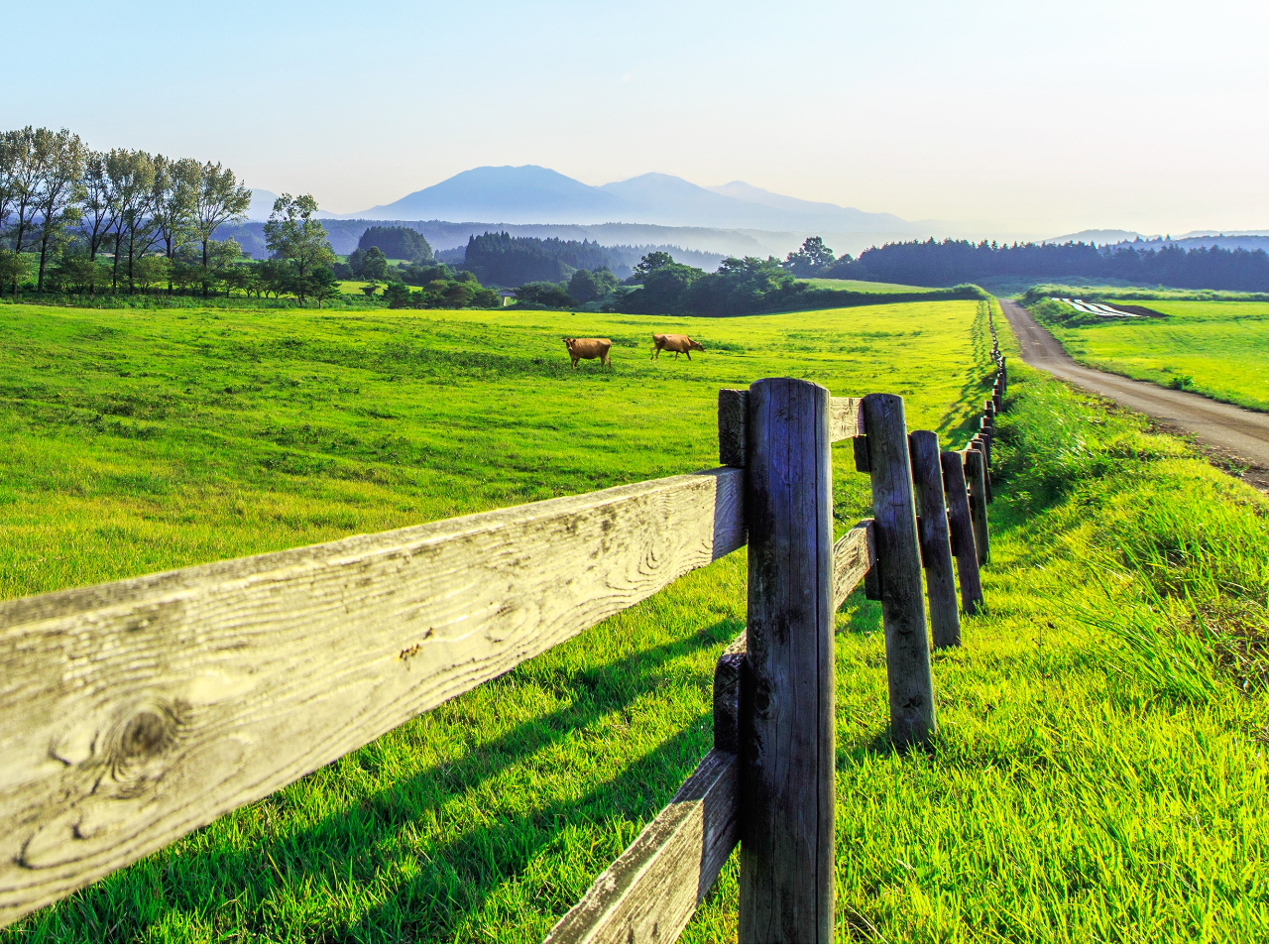 fROR]݂Ȃq̓IȌiς\o郋[gBɏt珉ĂɂĂ̍L̋C̓TCNOɍœKłAH~ʔR[XRłI