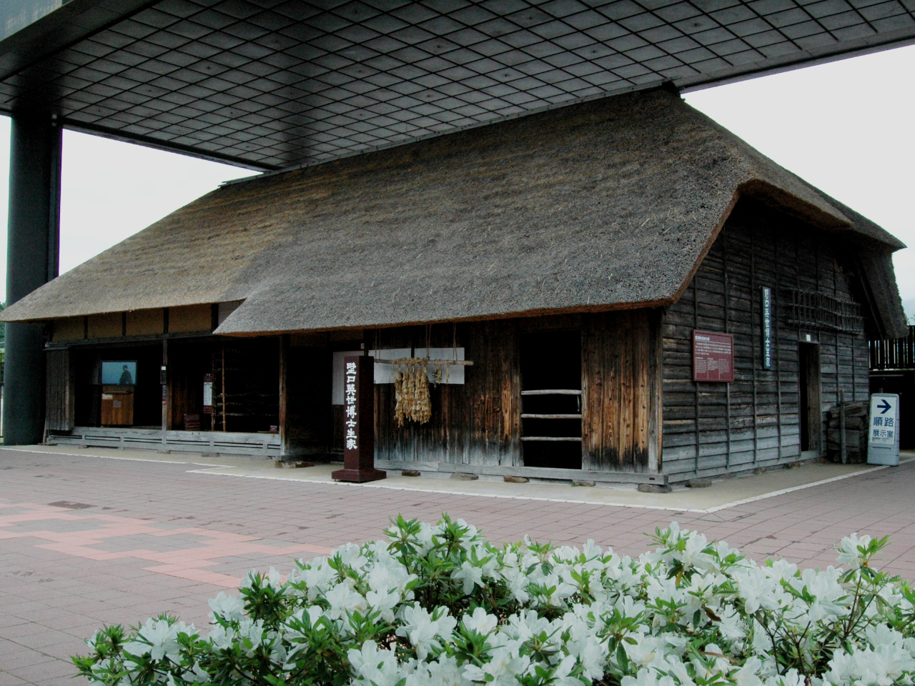 p܂ꂽi1876Nĵ܂܁Aꏊ傫ς炸ɍc鐶Ɓio^L`j