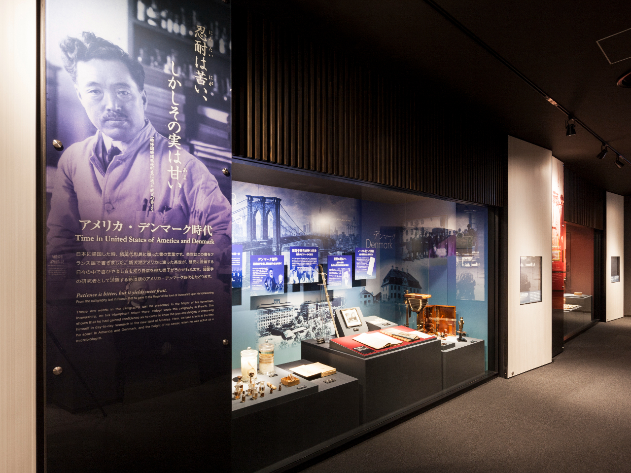 4つの時代に分けて、野口英世の生涯と業績を分かりやすくご紹介しています。実際に使っていた顕微鏡など貴重な資料が多数展示されています。