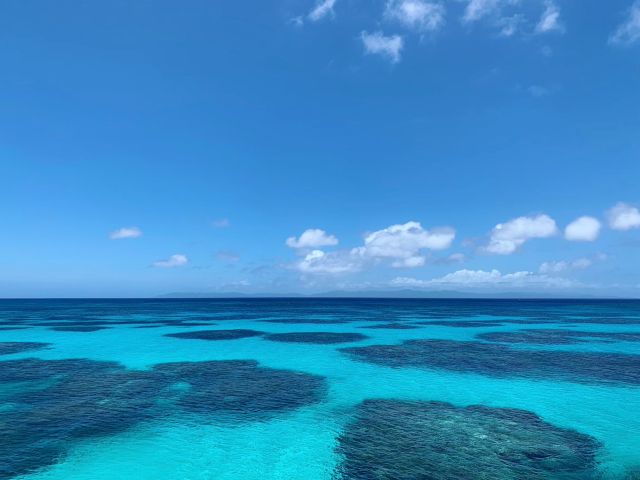 石垣島 本格的な体験ダイビング専用プラン 2ダイビング シュノーケリング 女性 友達 カップル お一人様にオススメ モアナ ダイビングカレッジ石垣島 じゃらん遊び体験 石垣島 本格的な体験ダイビング専用プラン 2ダイビング シュノーケリング 女性 友達 カップル お一人様にオススメ モアナ ダイビングカレッジ石垣島 じゃらん遊び体験