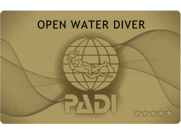 信頼の証、ゴールドカード発行店