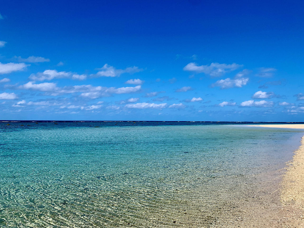 uK̃r[`͂ȂYȃr[`ꏊ͓ɂ܂