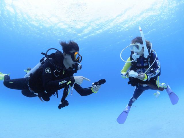 バディとの水中捜索