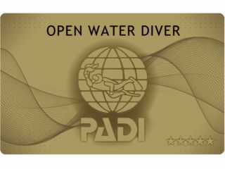 信頼のゴールドカード発行スクール