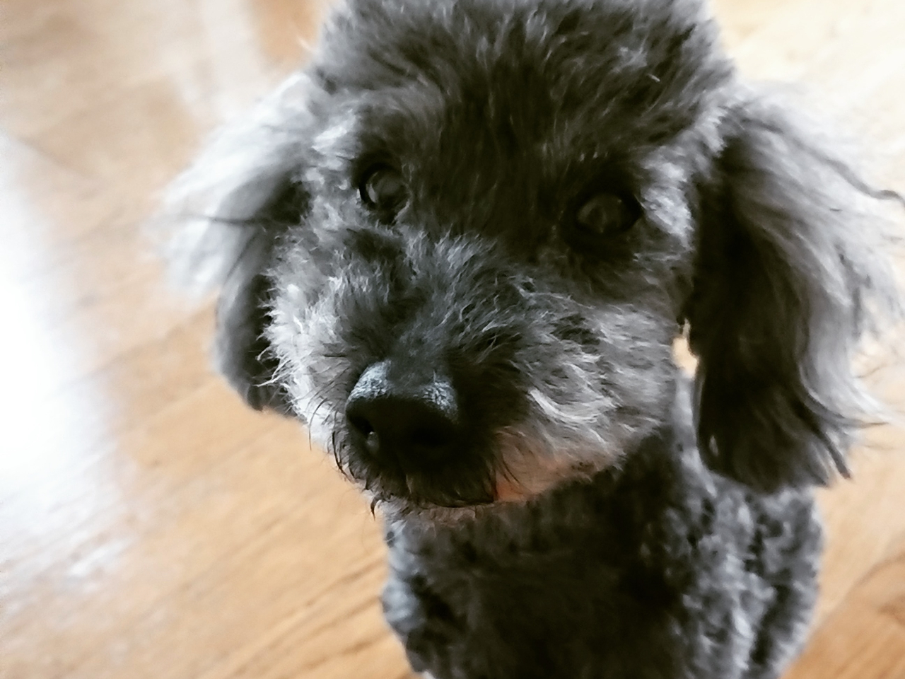 �Ŕ��̃g�C�v�[�h�������܂��B���ȕ��͂��m�点���������B