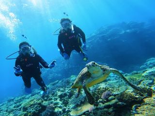ライセンス講習中、ウミガメと一緒に泳げるのは慶良間諸島ならでは♪