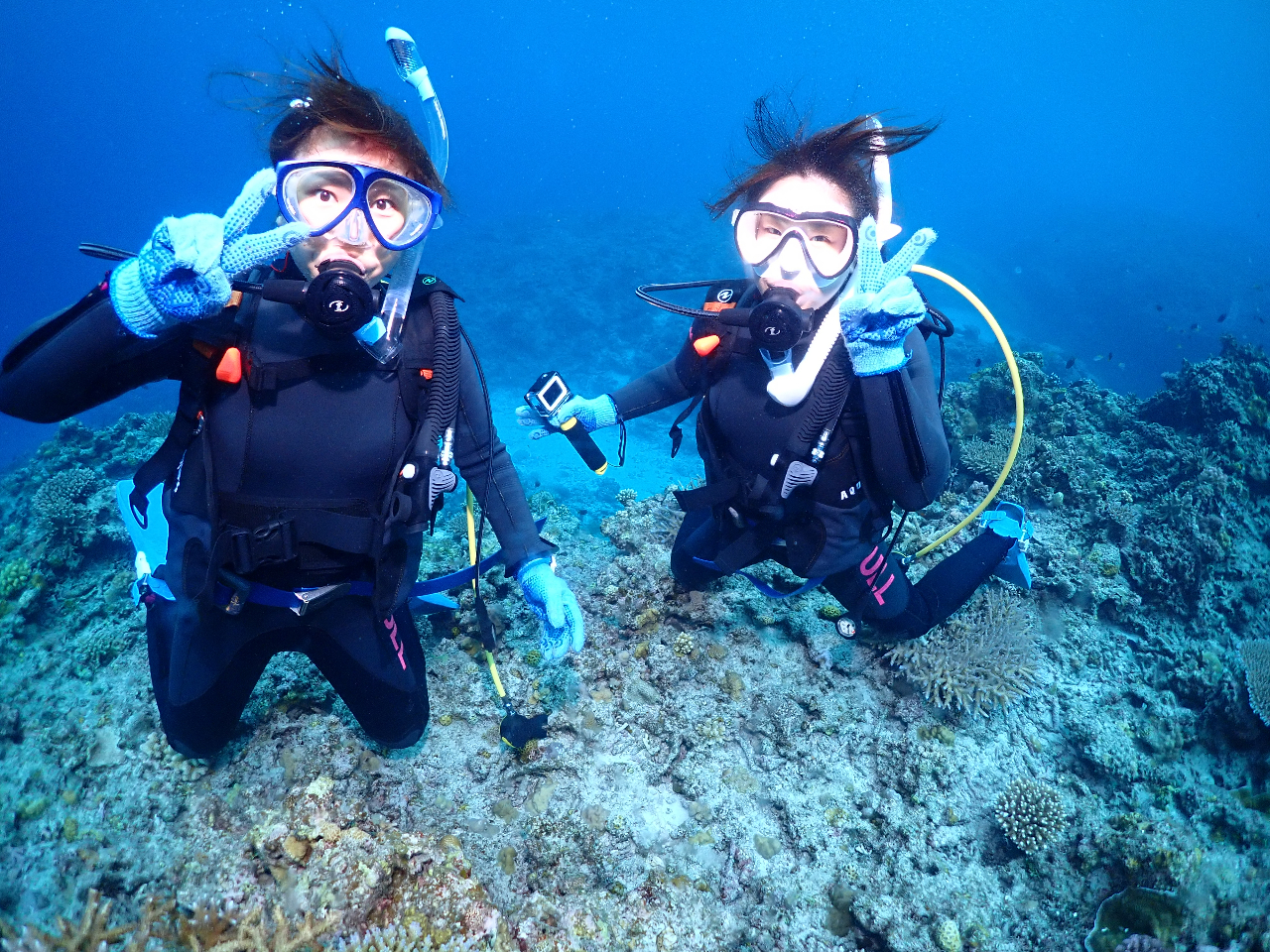 ���F�B�Ƃ��Q����