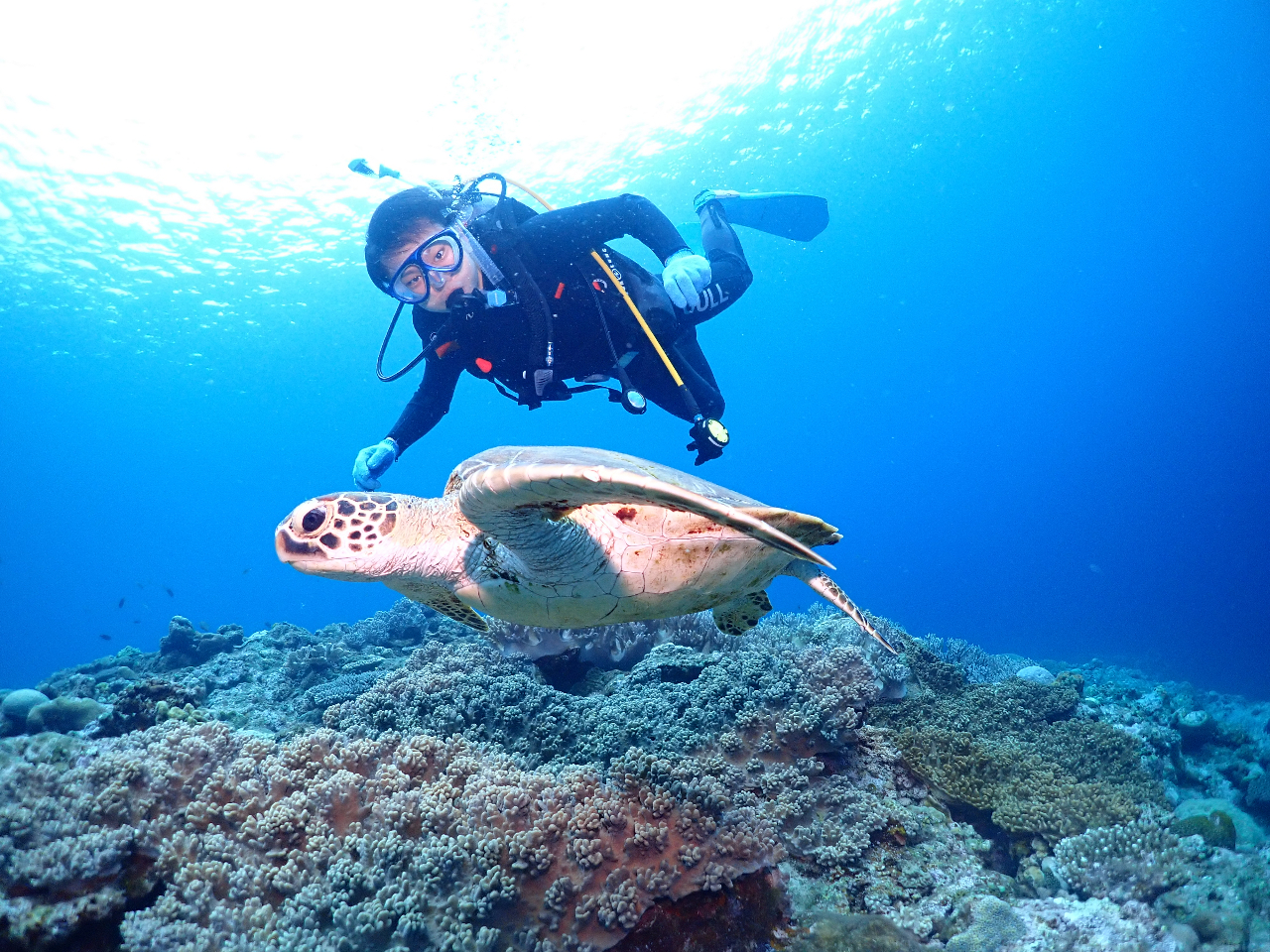 cǊԏł̓E~KƈꏏɉjႤ