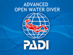 �X�e�b�v�A�b�v�C���ŃA�h�o���X�F��ł���