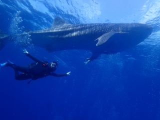 アドバンスを取得すれば、こんな奇跡が待っているかも?