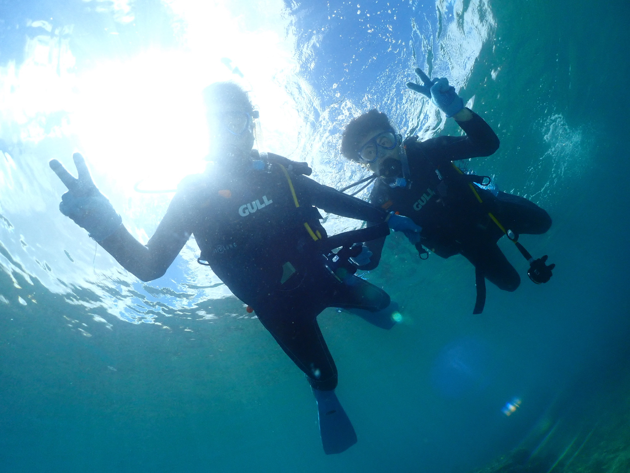 �e�q�ł��Q����