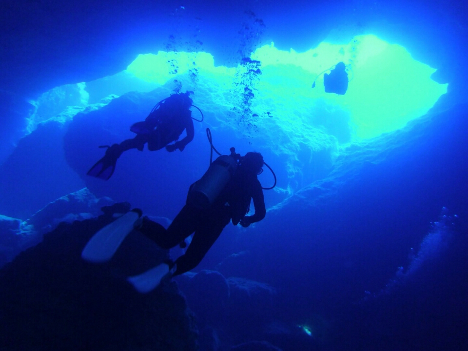 �A�h�o���X���擾����΁A���E���̐F��ȂƂ���ɍs�����Ⴂ�܂���