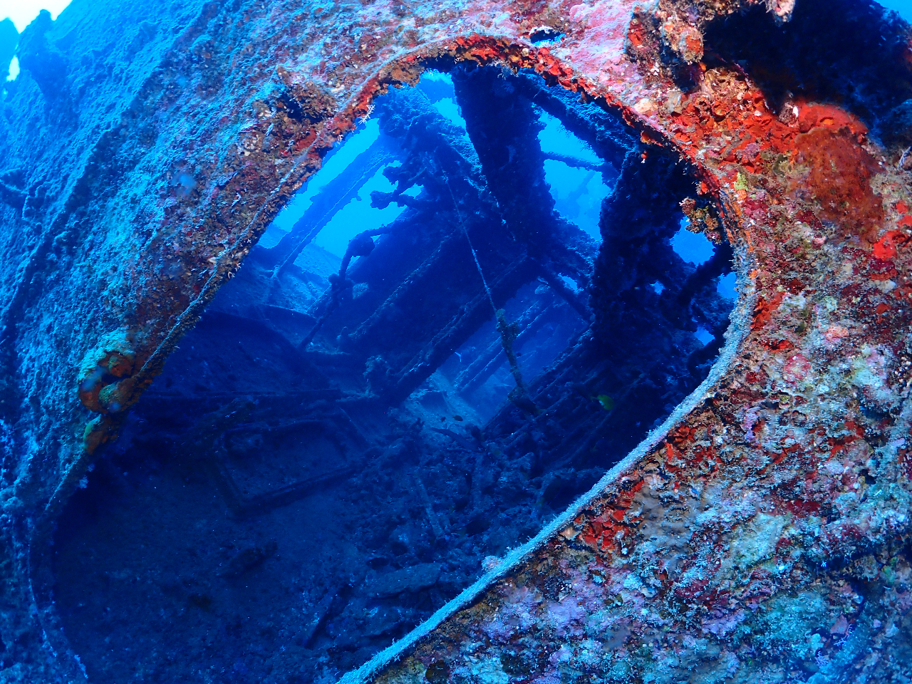 �������̋��͂����蔲���邱�Ƃ�