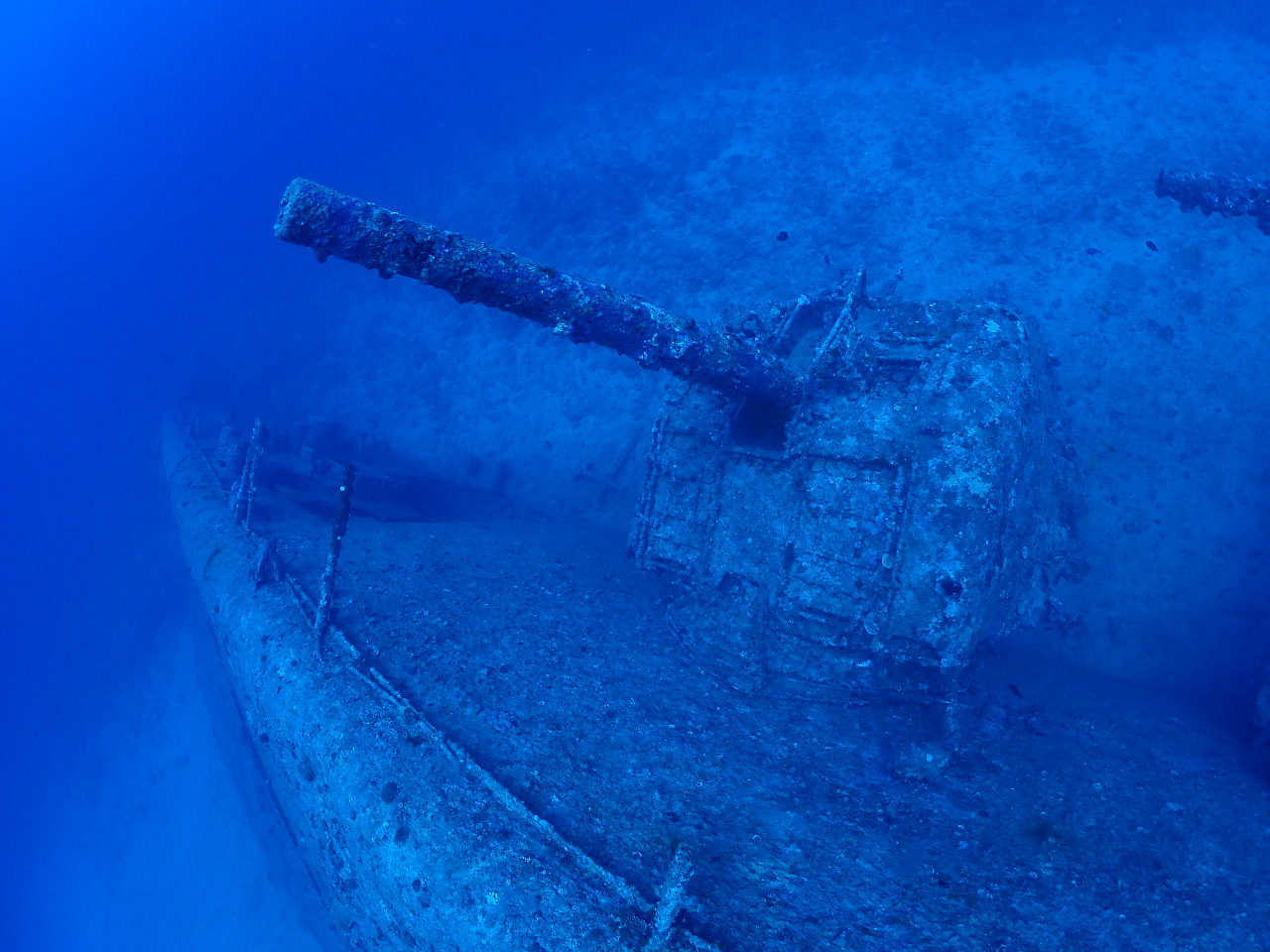 �@�e���Y��Ɏc���Ă܂�