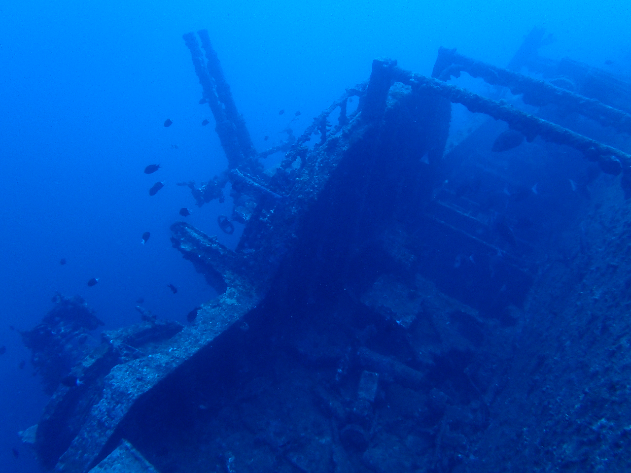 ��v�҂ɋF�����A���a�ȍ��̎���������܂��傤