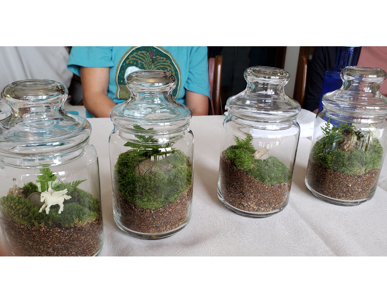 素敵なテラリウムの完成!