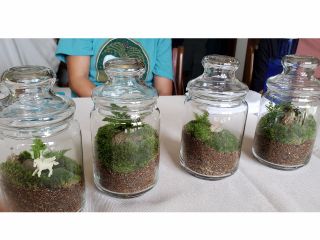 素敵なテラリウムの完成!