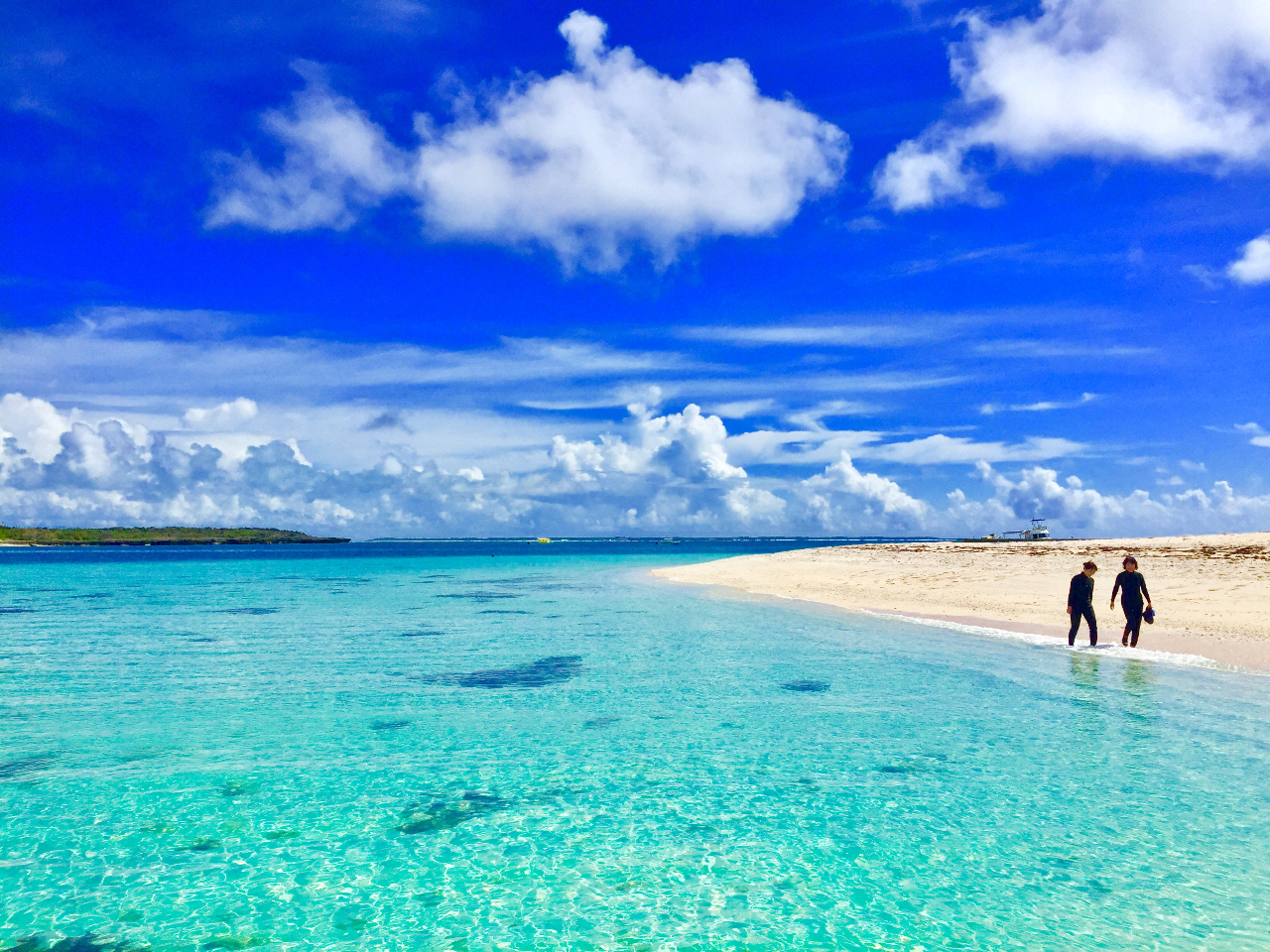 透明度抜群!最高級のパナリブルー