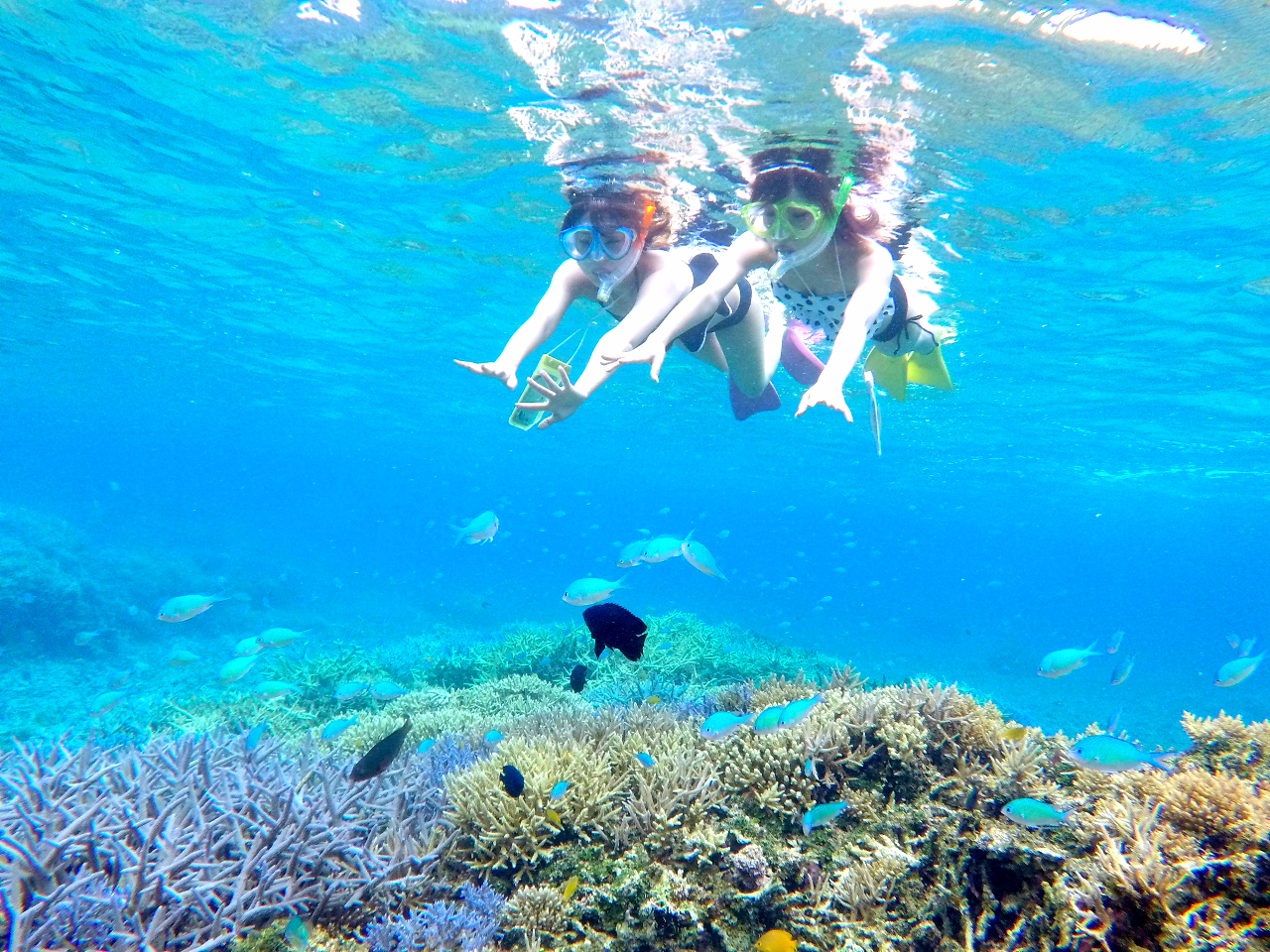 その日の、風向き、潮の流れなどの海況に応じて、その日のベストポイントへご案内