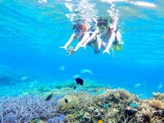 その日の、風向き、潮の流れなどの海況に応じて、その日のベストポイントへご案内