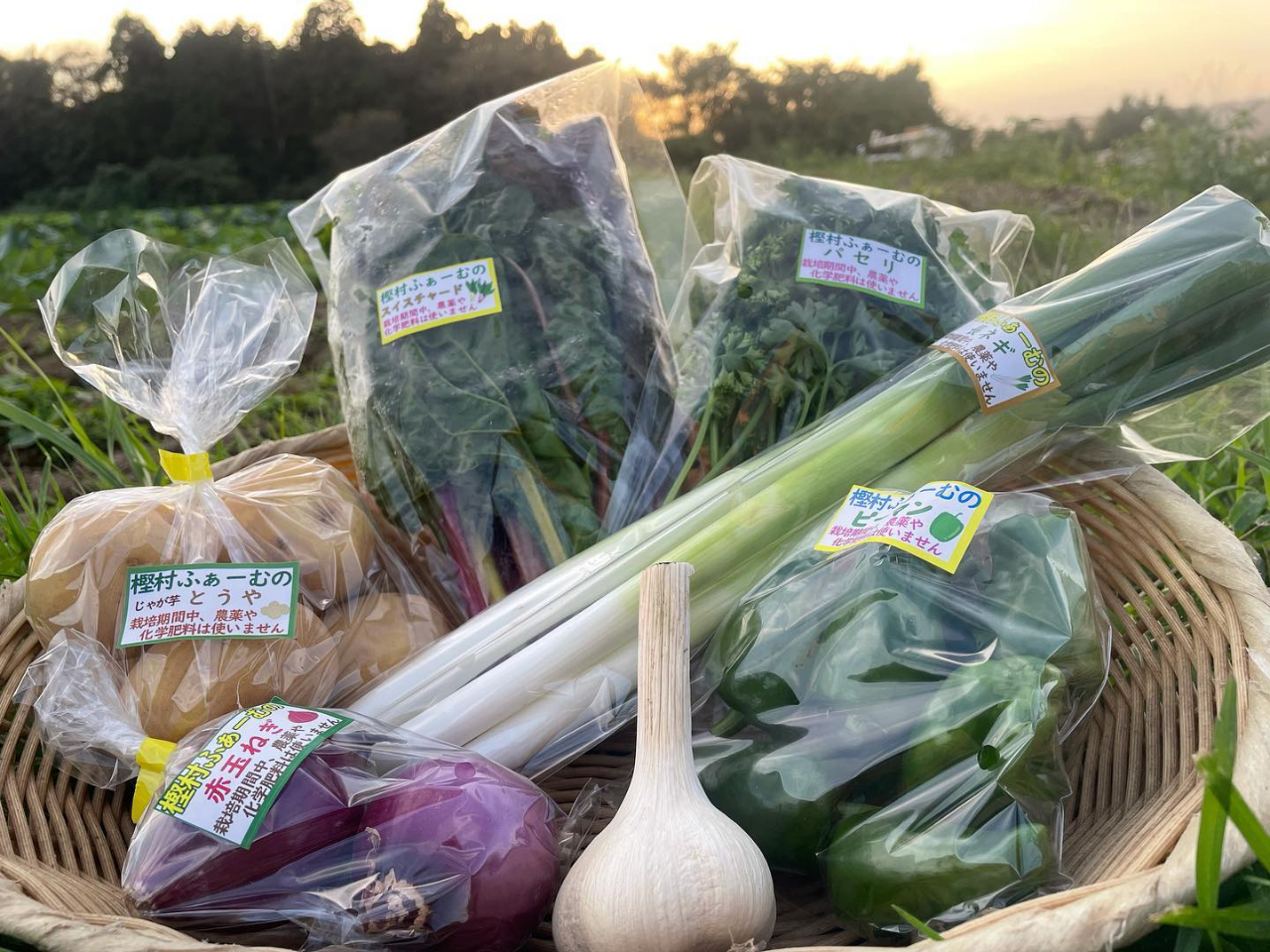 _L@͔|n߂45Nȏ @I[KjbN؂ŌNȖI