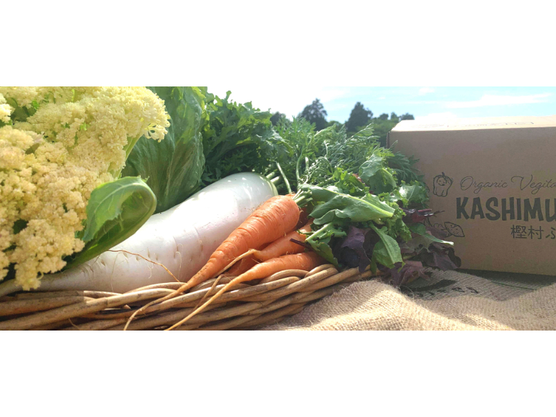 ~ӂ[ނ́A錧s̍Ŗk̏\Ƃꏊɂ܂